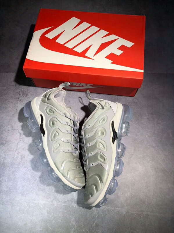 Authentic Nike Air Vapormax Plus silver gray 